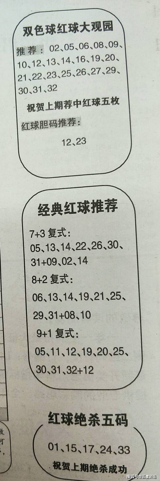 红绿两波出特码，桃李竹杏下一家打一生肖,警惕虚假宣传、全面解答、构建解答解释落实